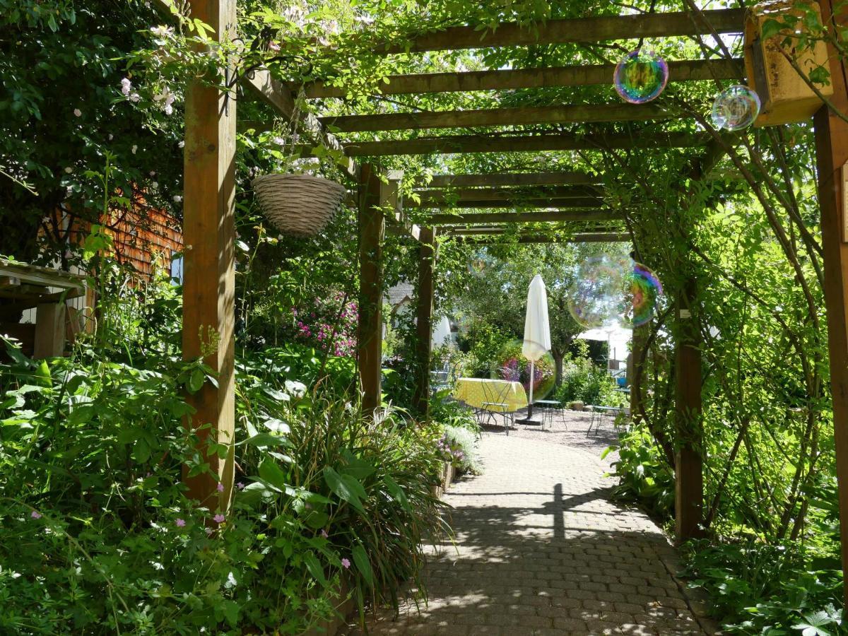 Villa Rosa Trois Epis Exterior foto